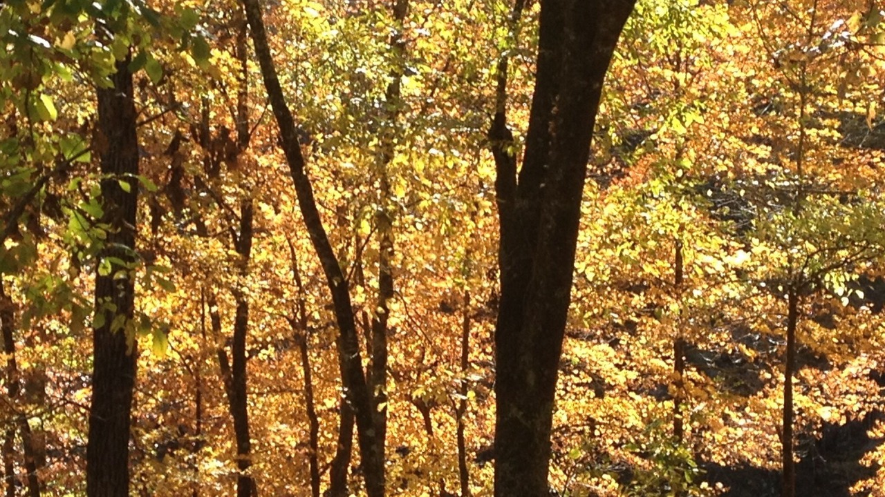 Photo of Others in Smithville