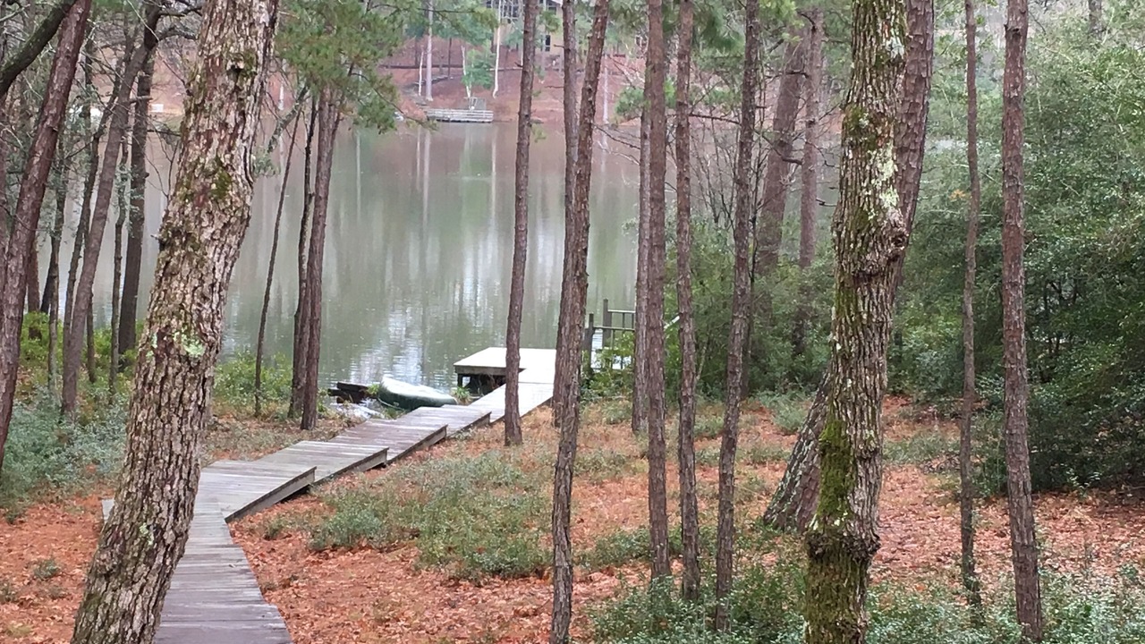 Photo of Outdoor in Holly Lake Ranch