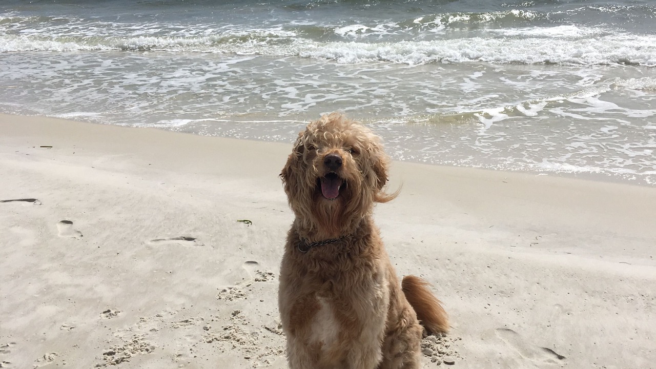 Photo of Others in Port St. Joe