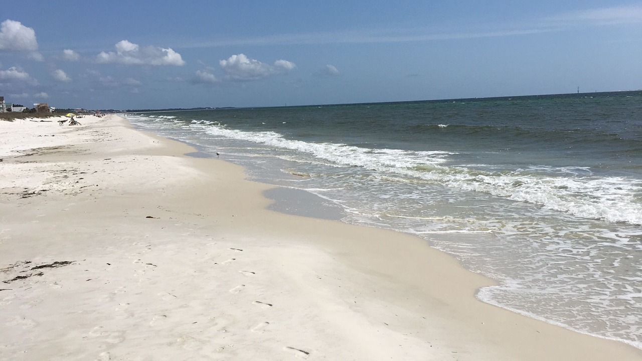 Photo of Others in Port St. Joe