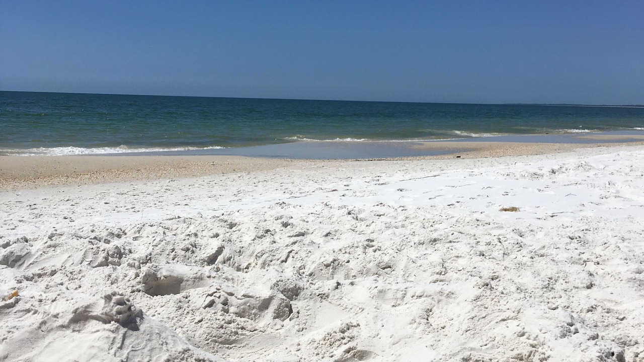 Photo of Others in Port St. Joe