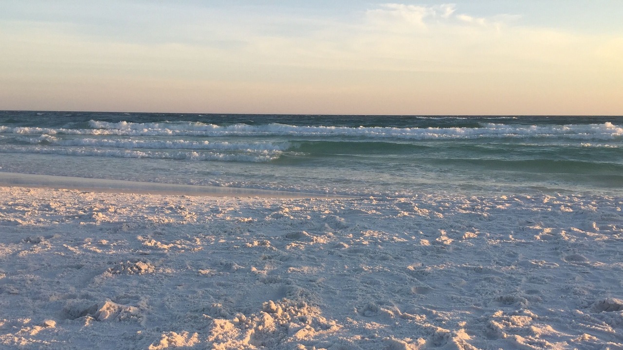 Photo of Others in Miramar Beach