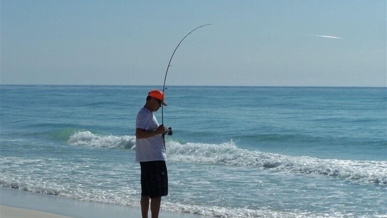 Photo of Others in Miramar Beach