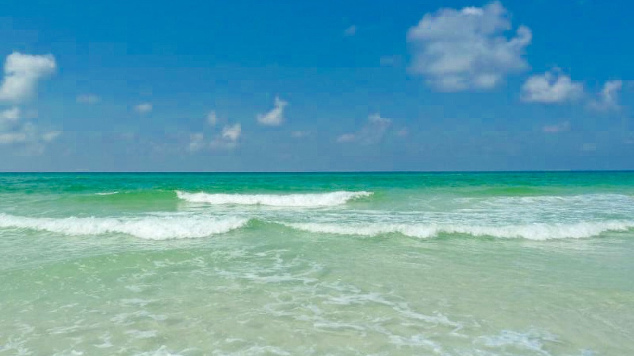 Photo of Others in Inlet Beach