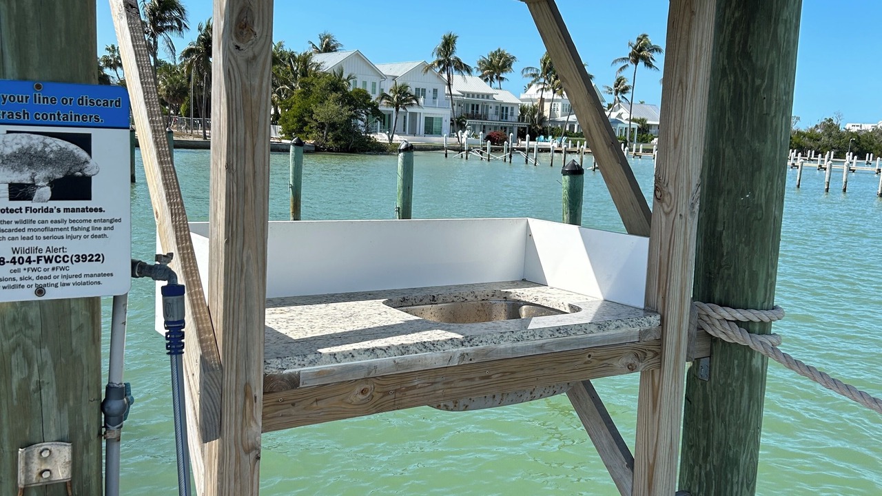 Photo of Outdoor in Captiva