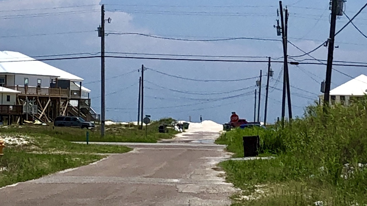 Photo of Others in Dauphin Island