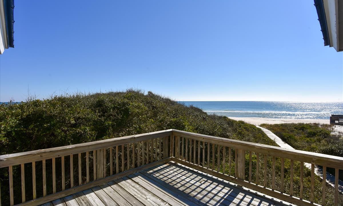 Photo of Outdoor in Plantation