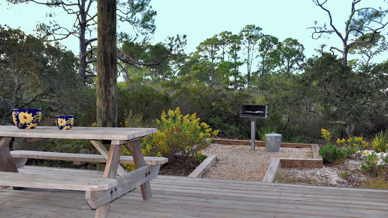 Photo of Outdoor in Sea Palm Village