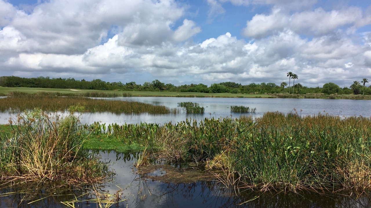 Photo of Outdoor in Bradenton
