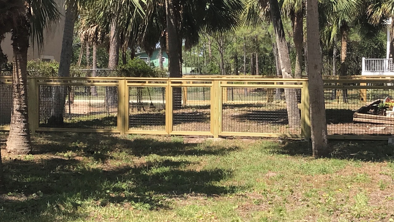 Photo of Others in St. George Island