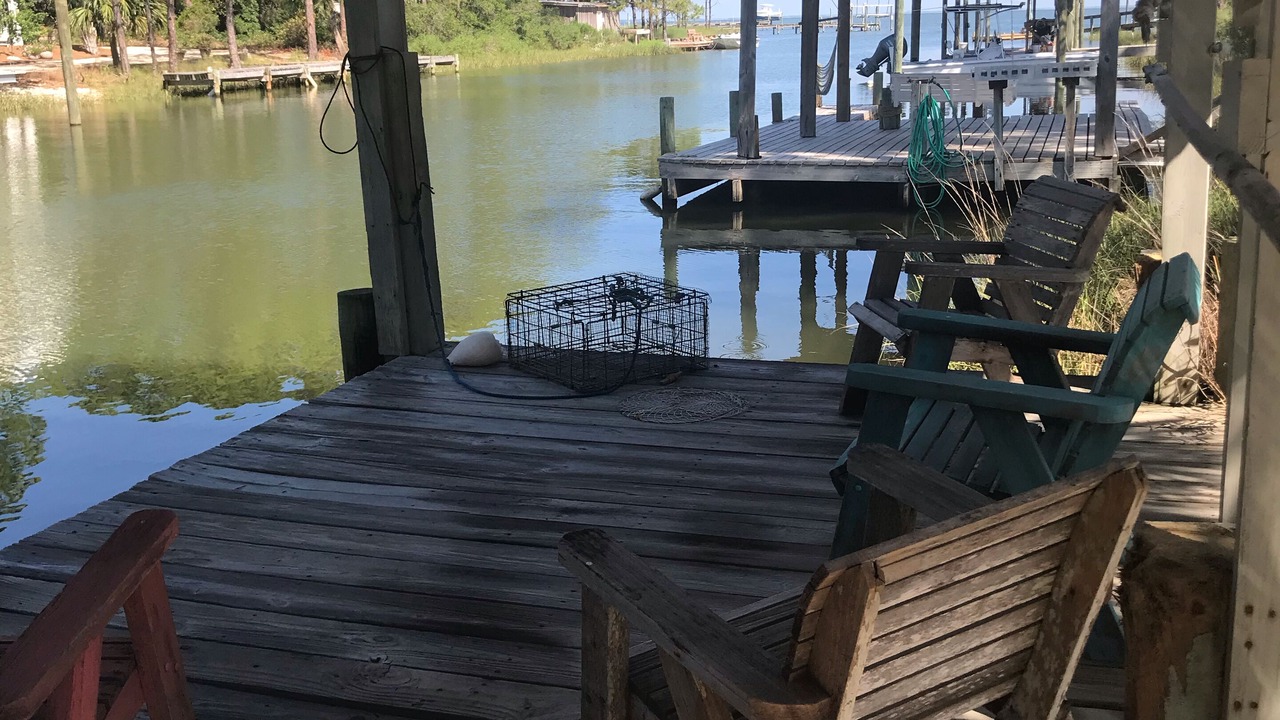 Photo of Outdoor in St. George Island