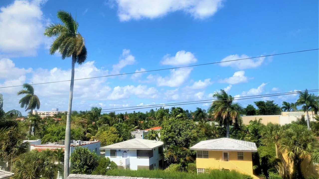Photo of Others in Palm Beach