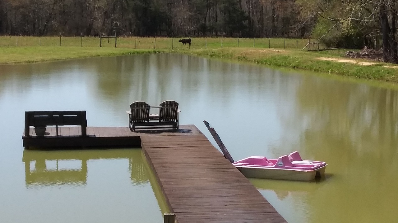 Photo of Outdoor in Fort Payne