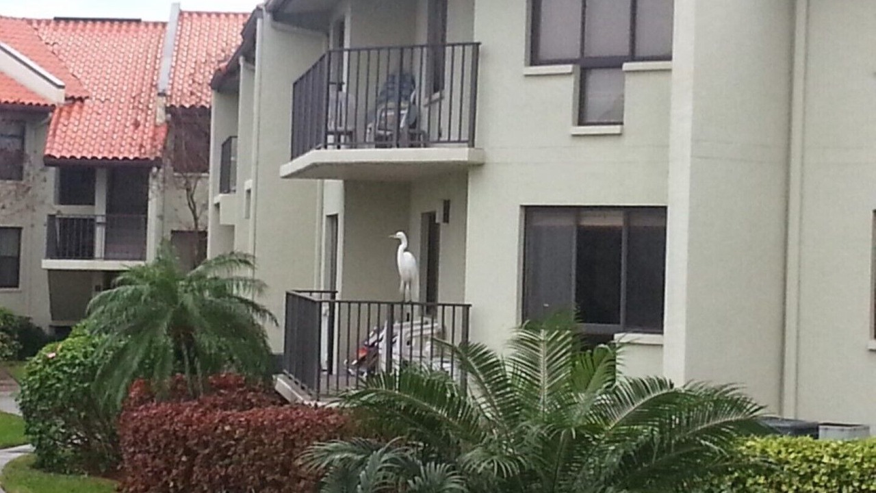 Photo of Others in Tierra Verde