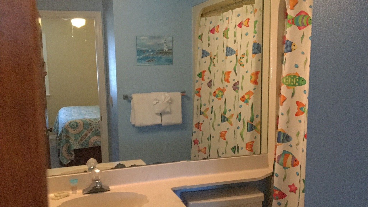 Photo of Bathroom in Gulf Lagoon Beach