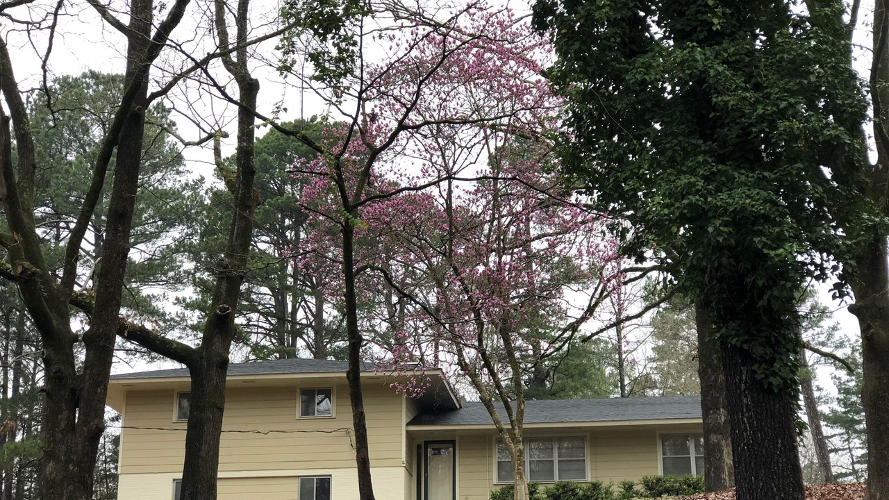 Photo of Outdoor in University Hills