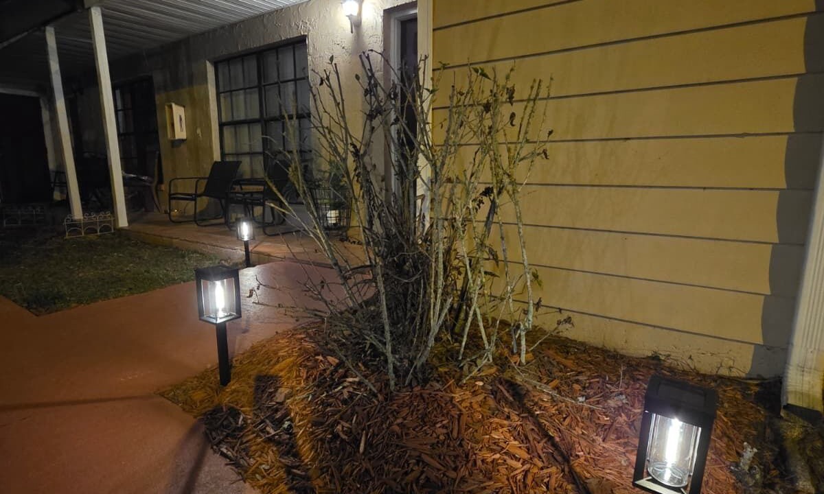 Photo of Outdoor in Land O' Lakes