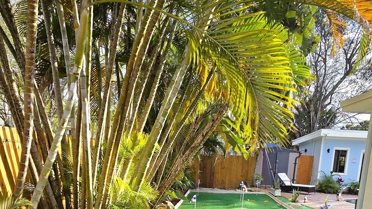 Photo of Outdoor in West Palm Beach