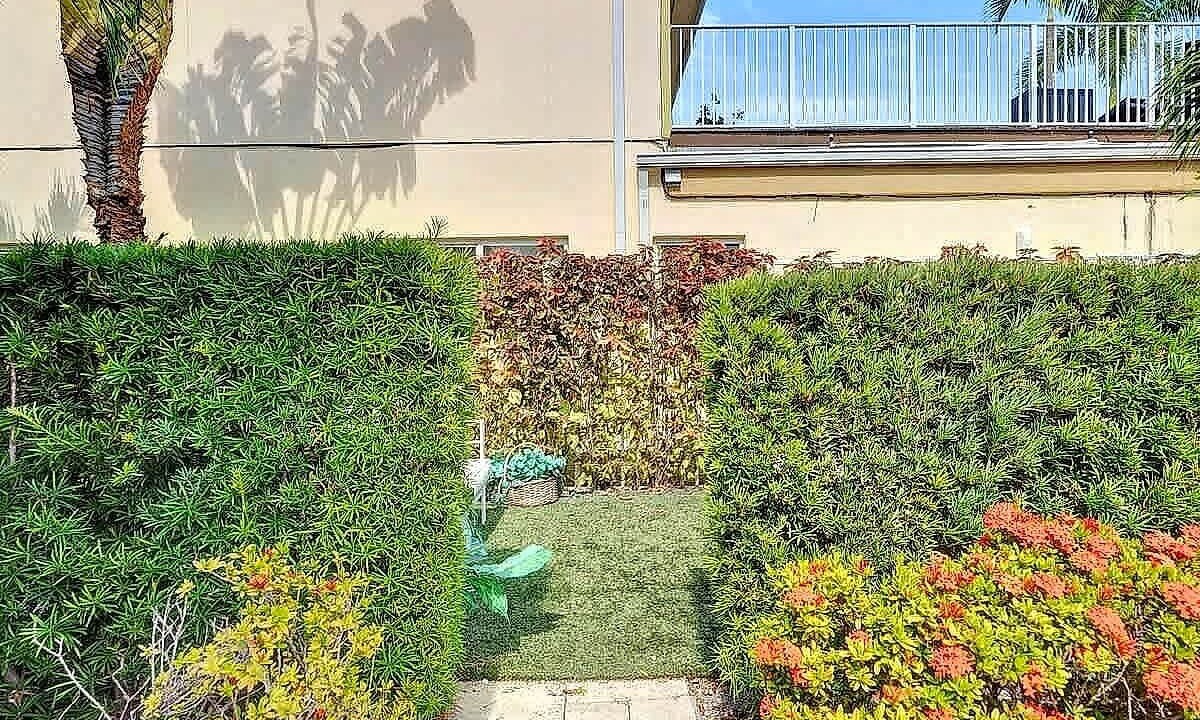 Photo of Outdoor in Mango Groves