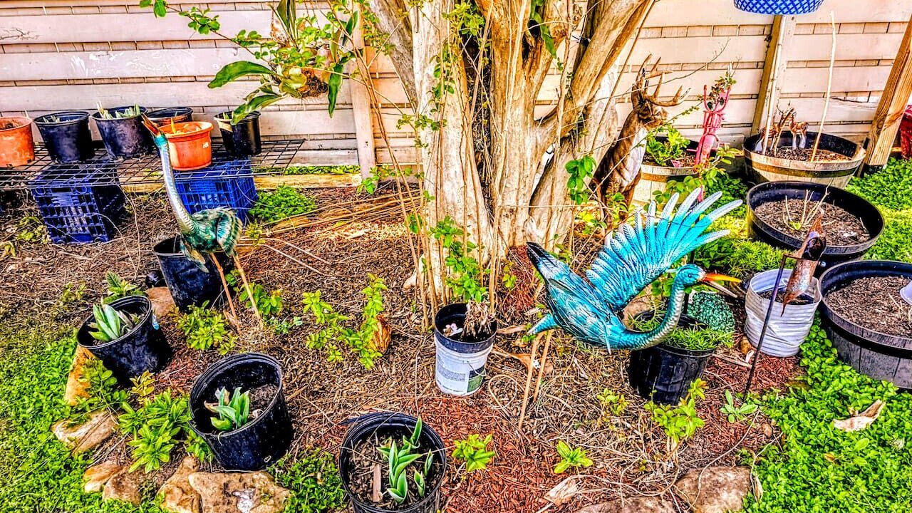 Photo of Outdoor in Nassau Bay