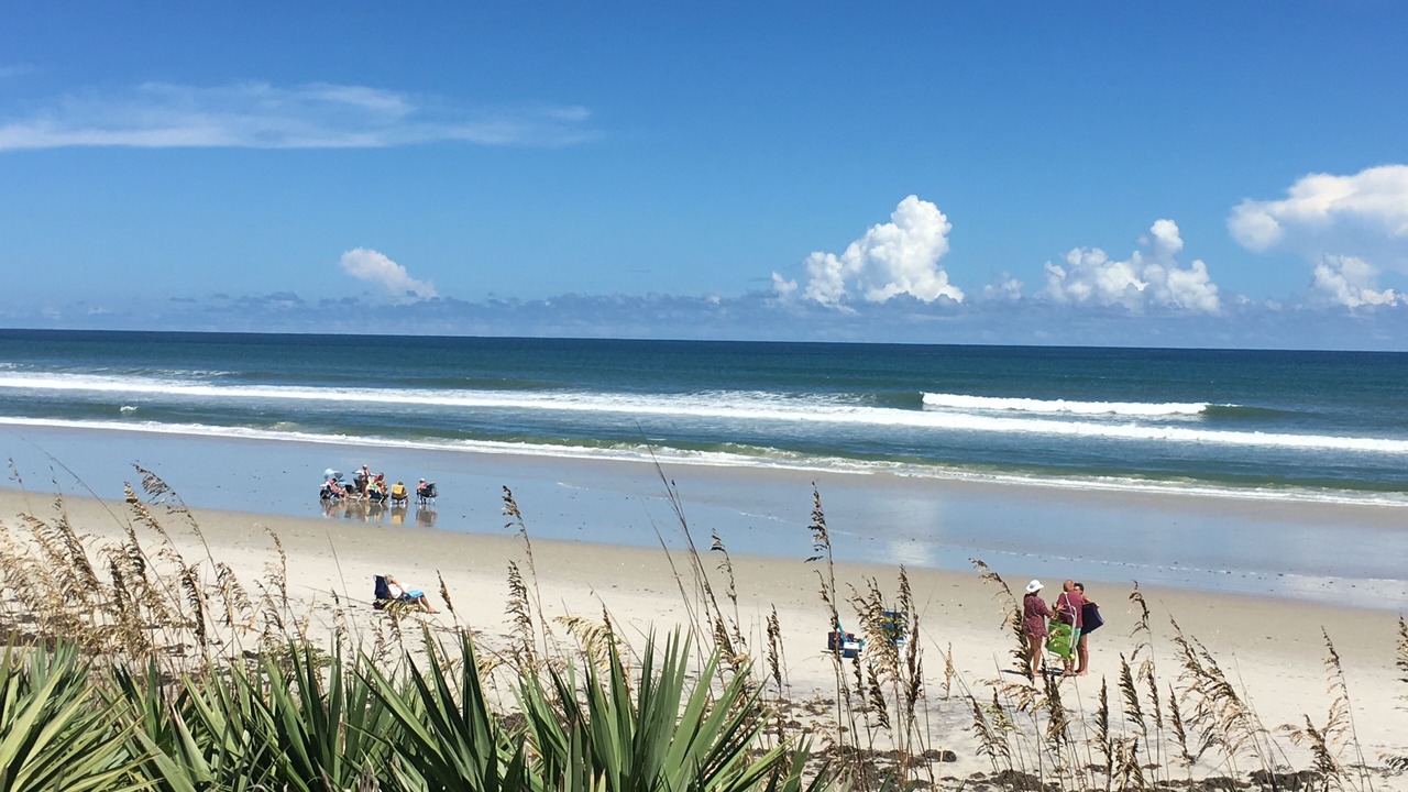 Photo of Others in New Smyrna Beach