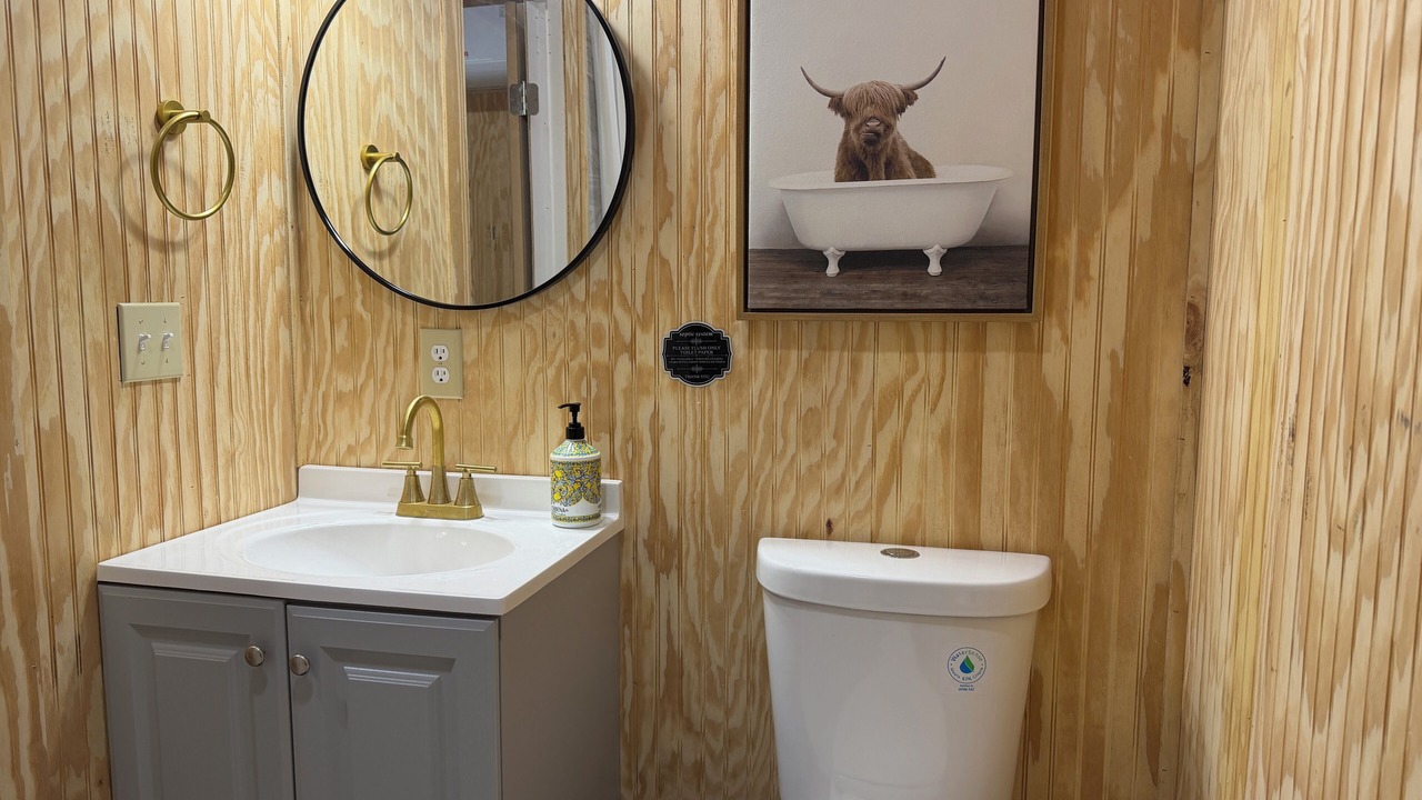 Photo of Bathroom in Alba