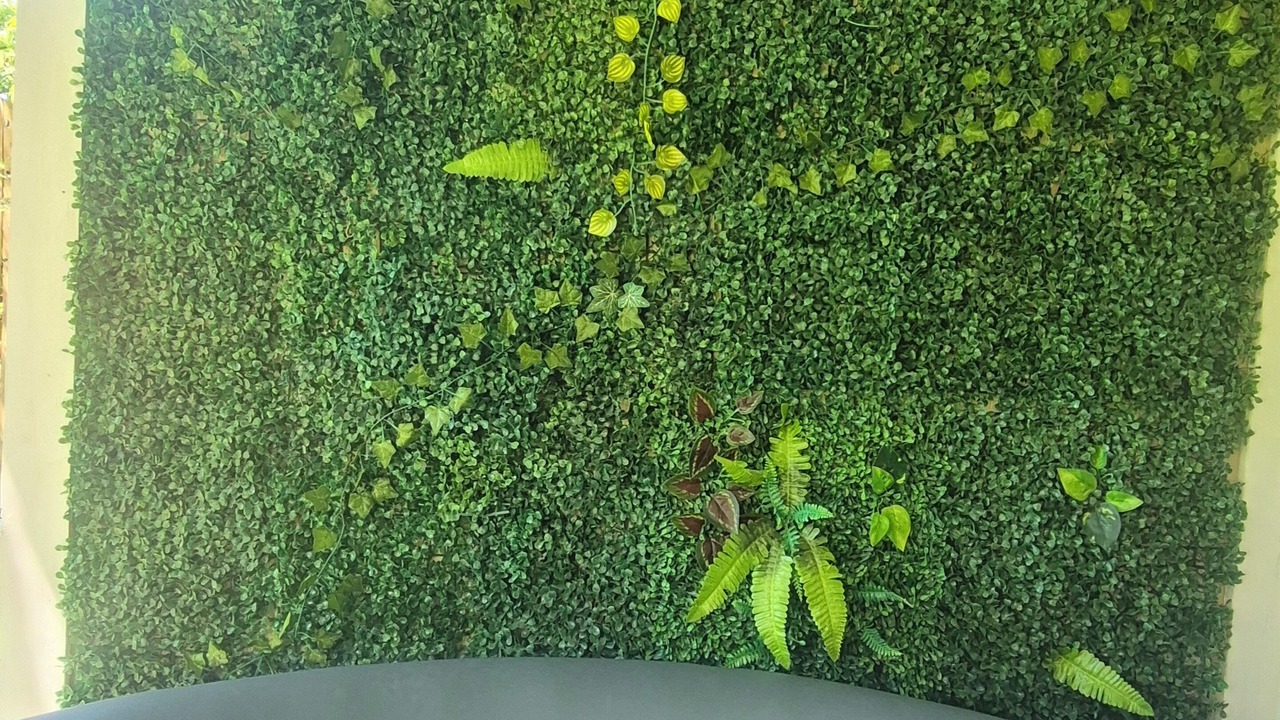 Photo of Outdoor in Westlake