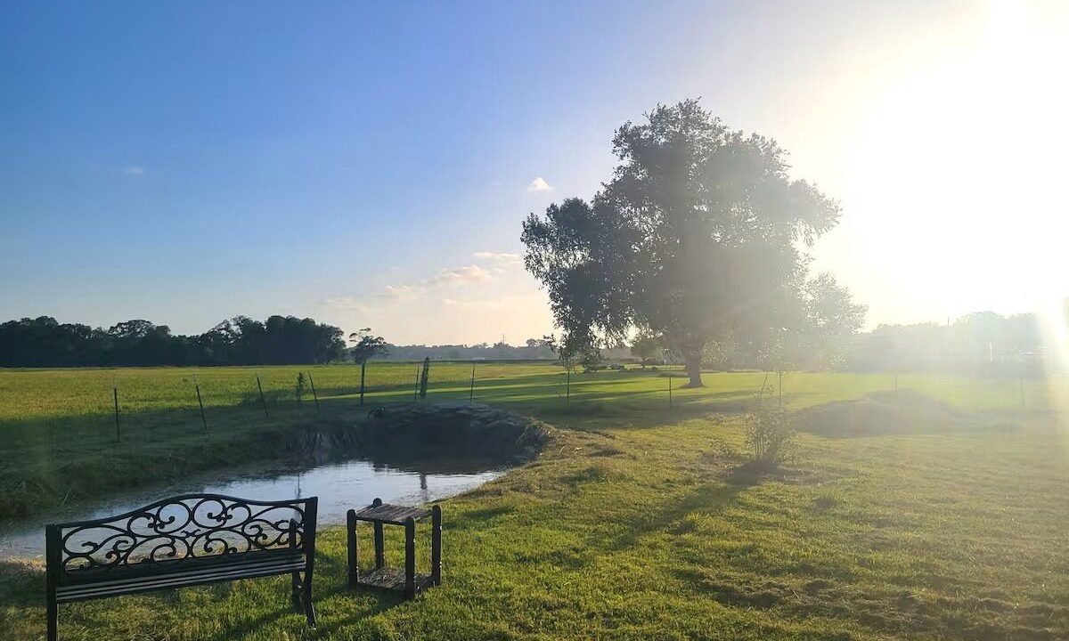 Photo of Outdoor in Carencro