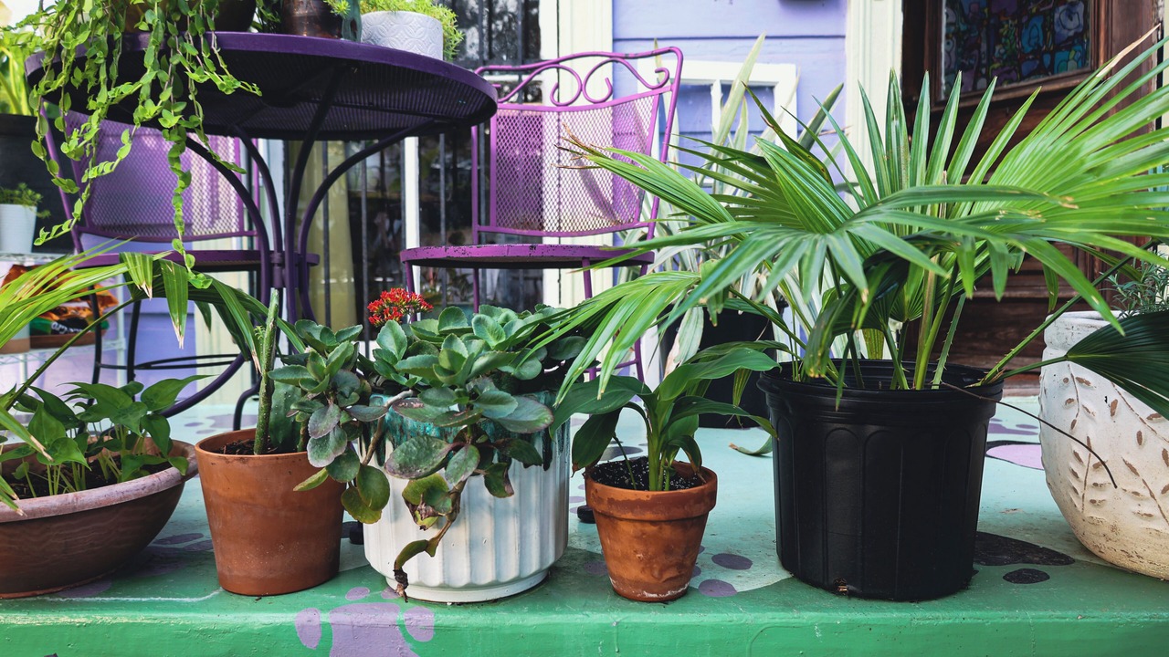 Photo of Patio Balcony in Touro
