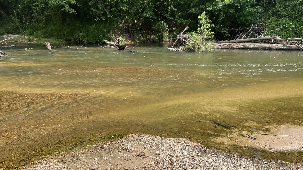 Photo of Others in McComb