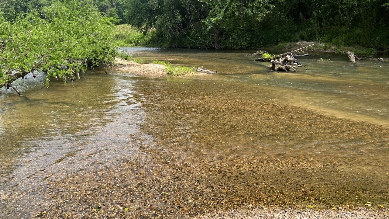 Photo of Others in McComb