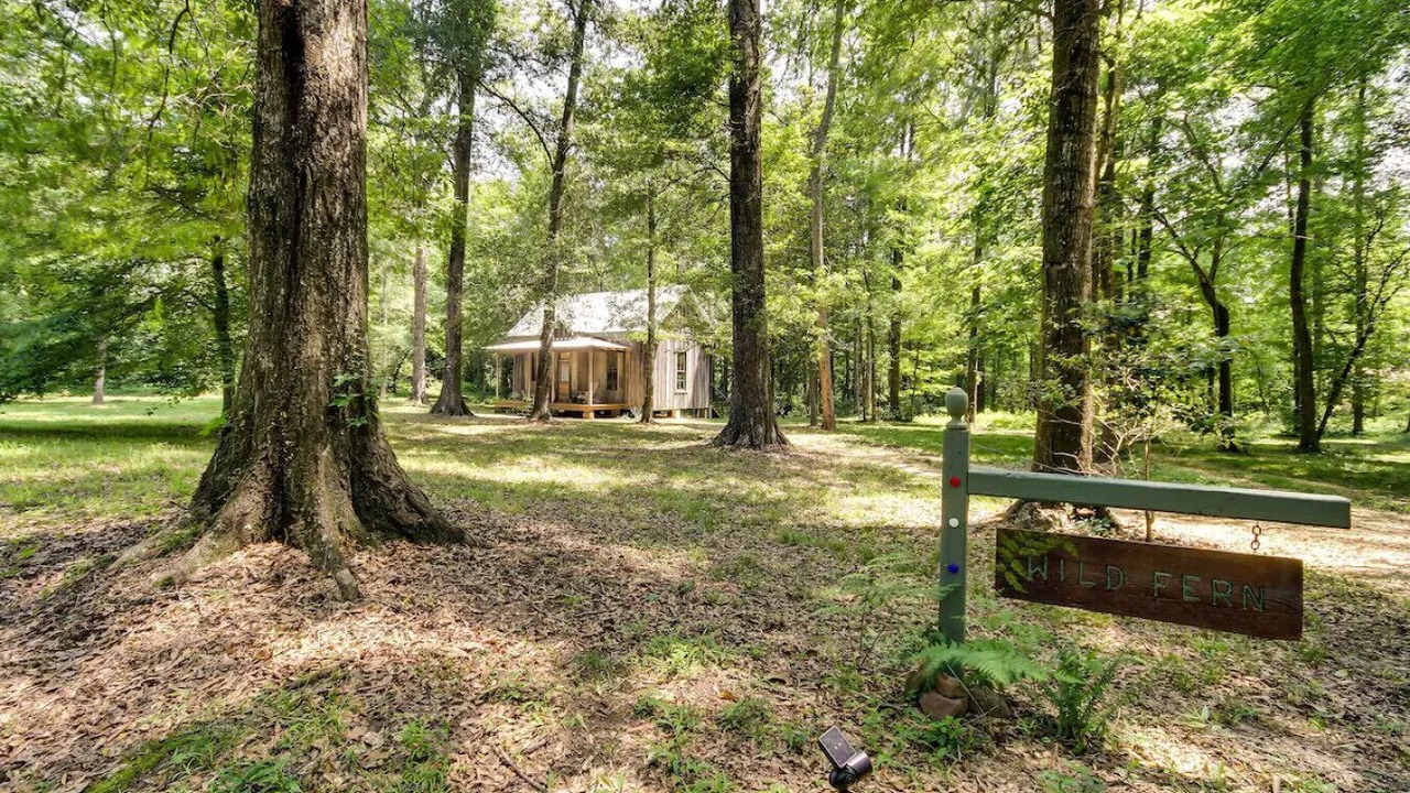 Photo of Outdoor in McComb