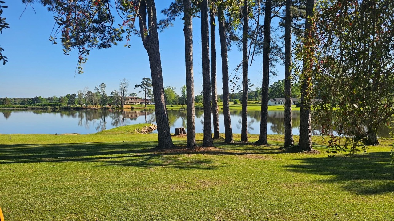 Photo of Outdoor in Bivins