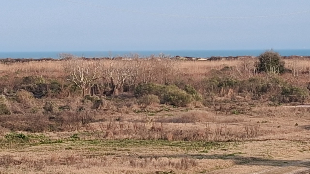Photo of Others in Crystal Beach