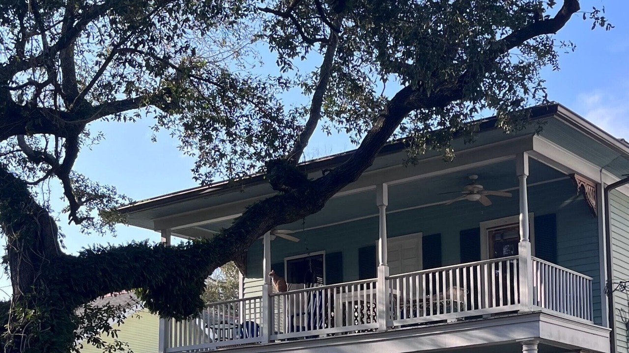 Photo of Outdoor in Broadmoor