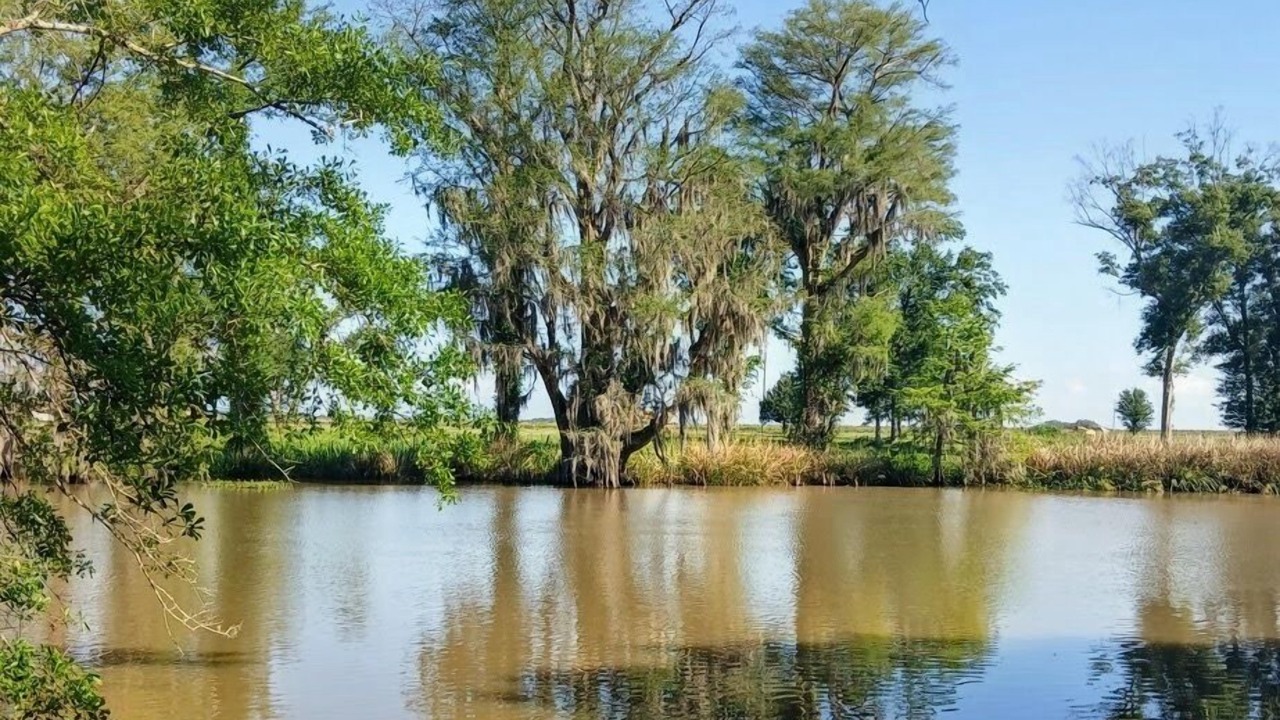 Photo of Others in Franklin