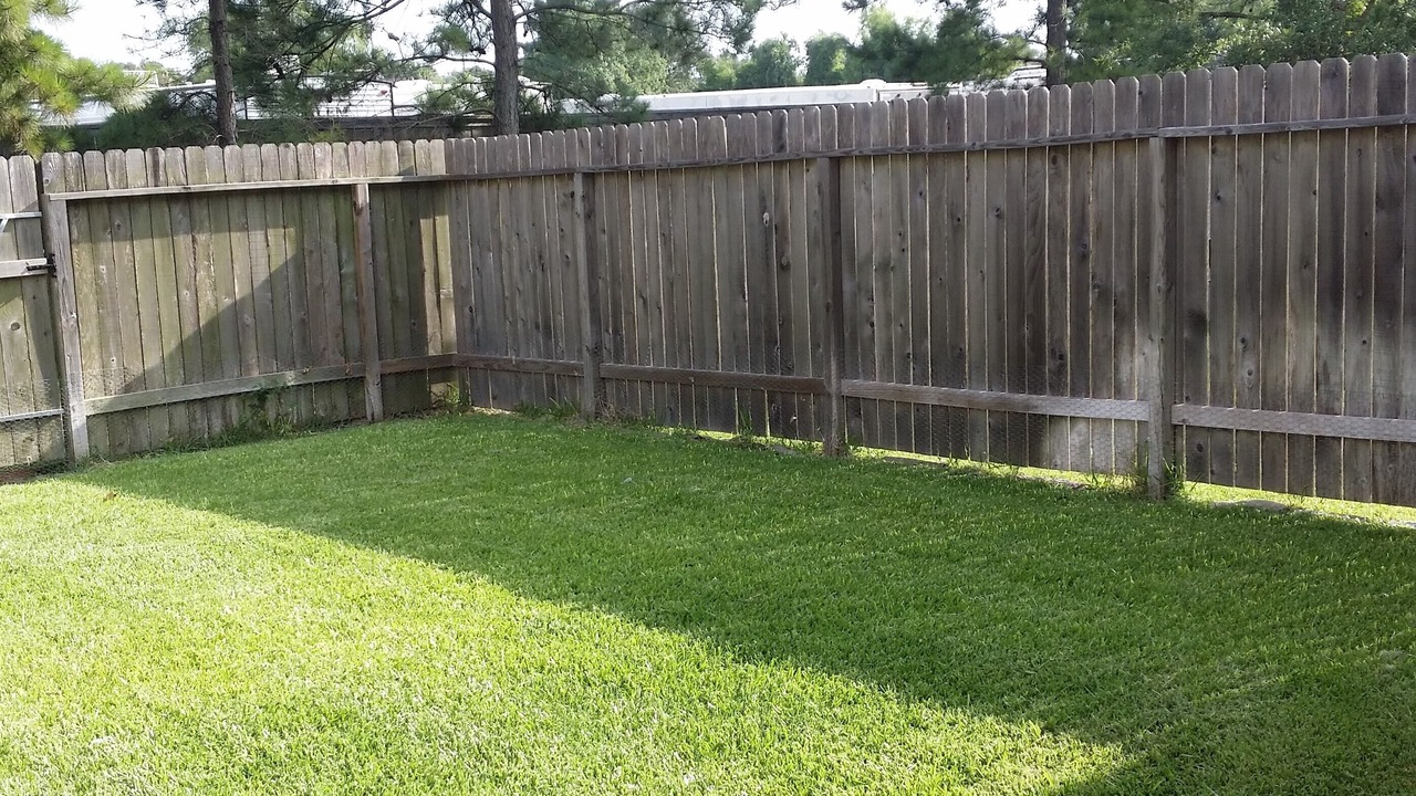 Photo of Outdoor in FM 1960