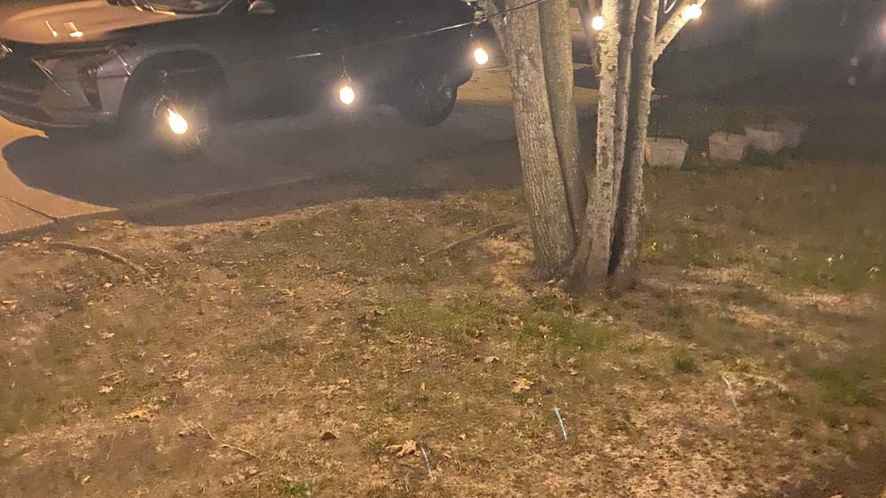 Photo of Outdoor in Flowood
