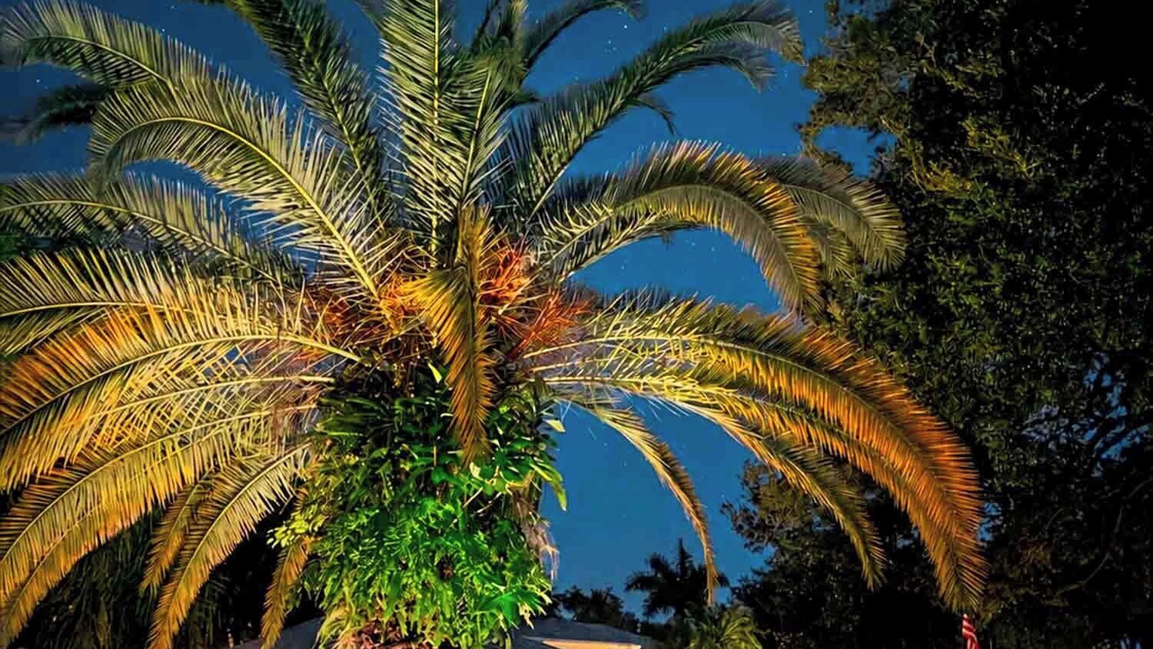 Photo of Outdoor in Merritt Island