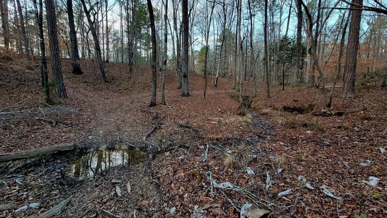 Photo of Others in Hamilton