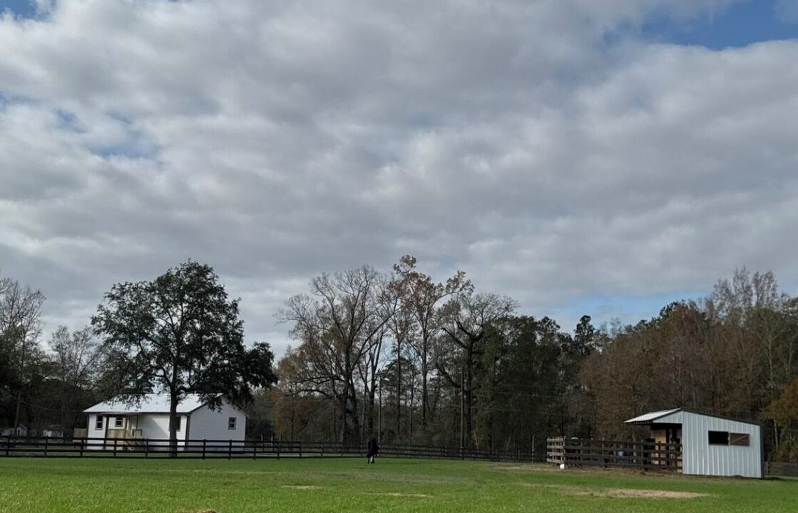 Photo of Others in Tangipahoa Parish