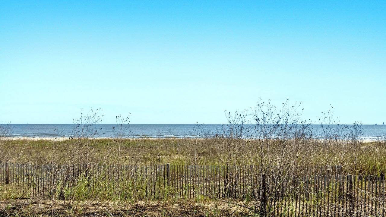 Photo of Others in Grand Isle