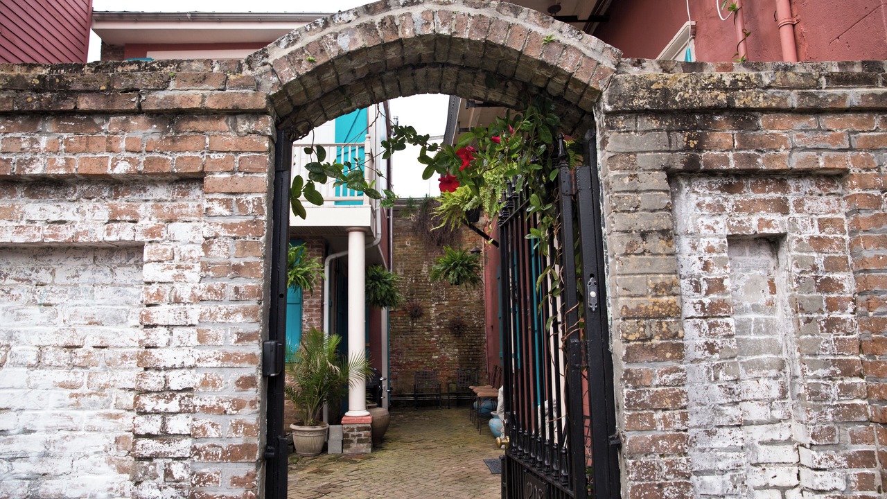 Photo of Others in Treme