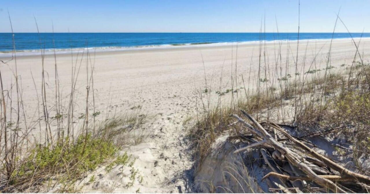 Photo of Others in Jacksonville Beach