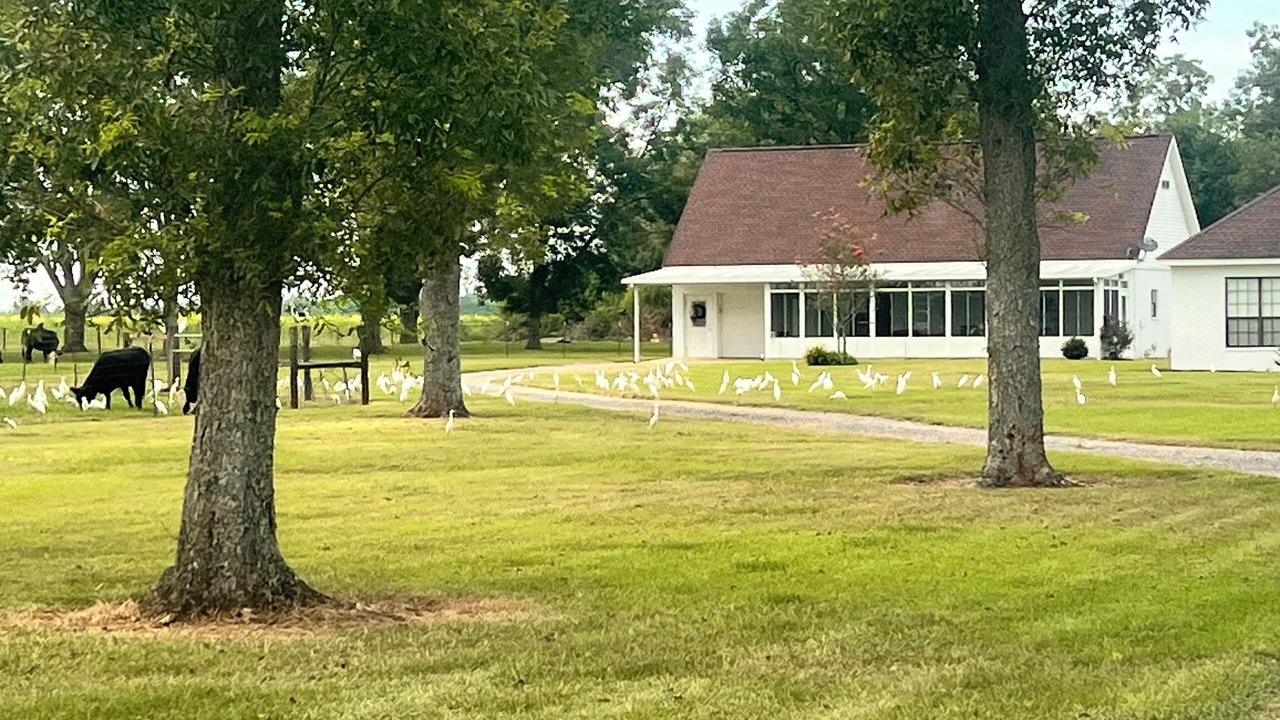 Photo of Outdoor in Loxley