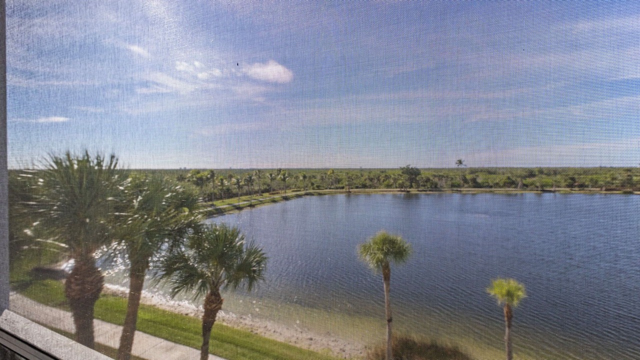 Photo of Others in Tropical Cove
