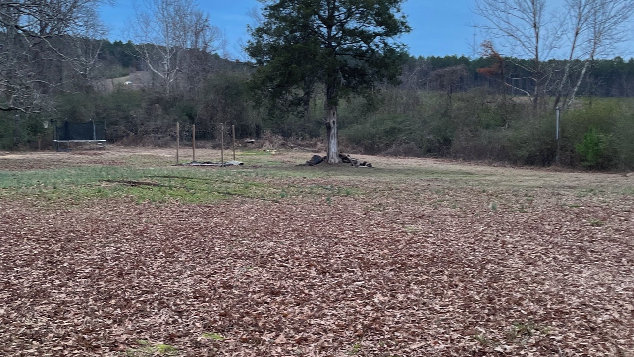 Photo of Others in Water Valley