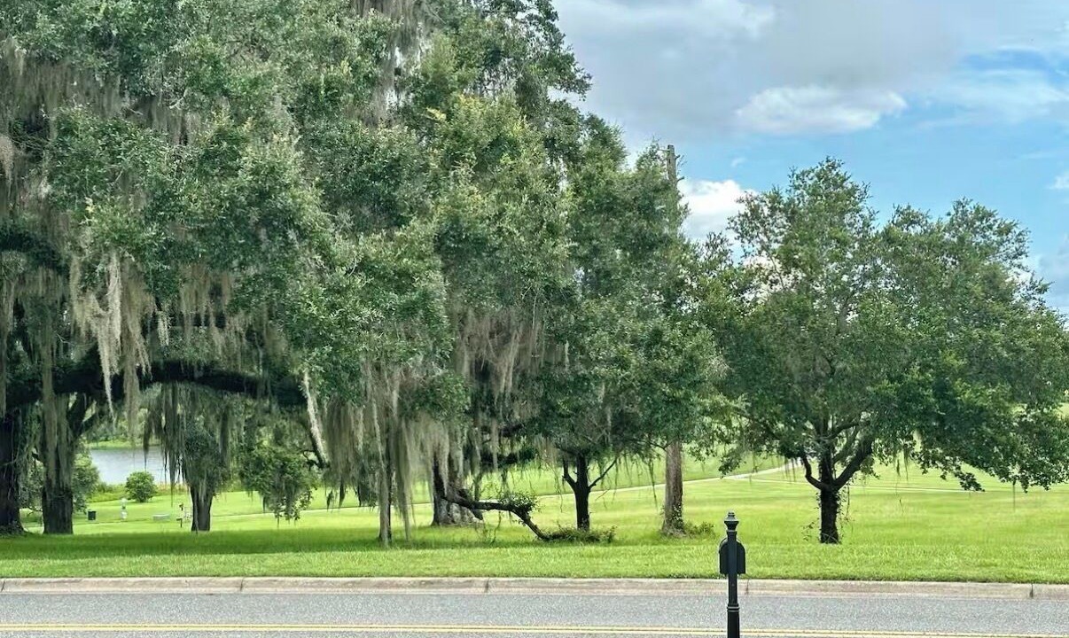 Photo of Others in Tallahassee