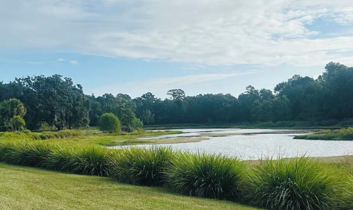 Photo of Others in Tallahassee