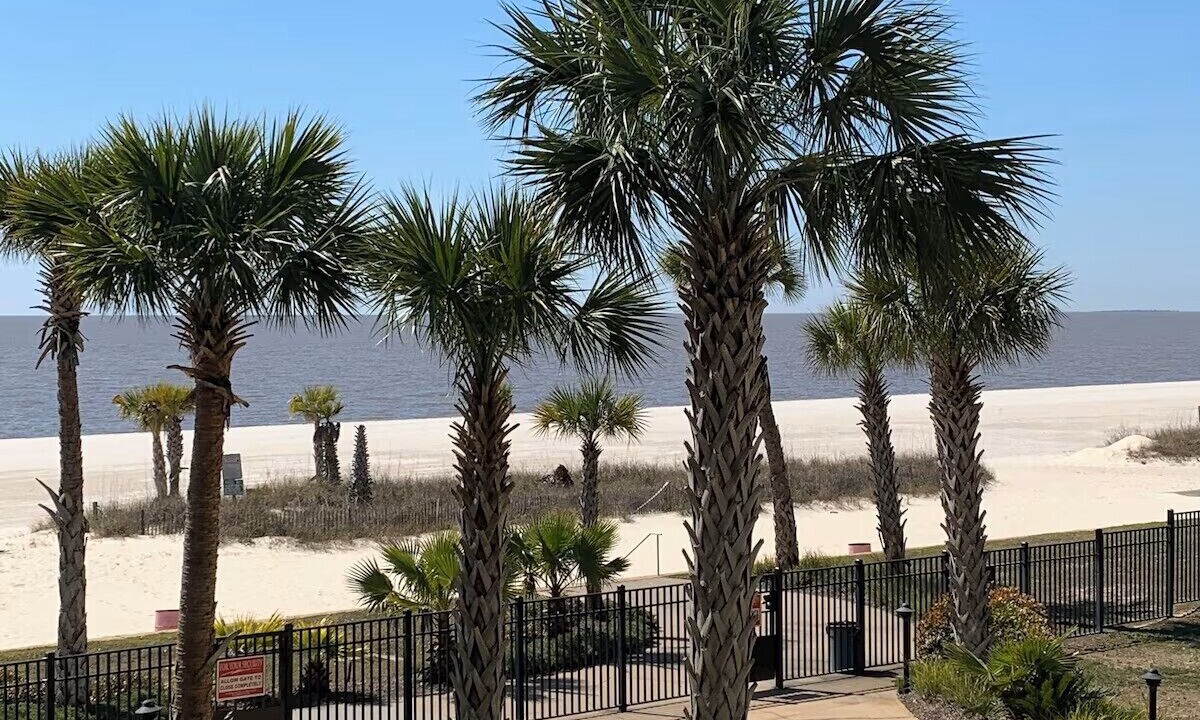 Photo of Others in Henderson Point